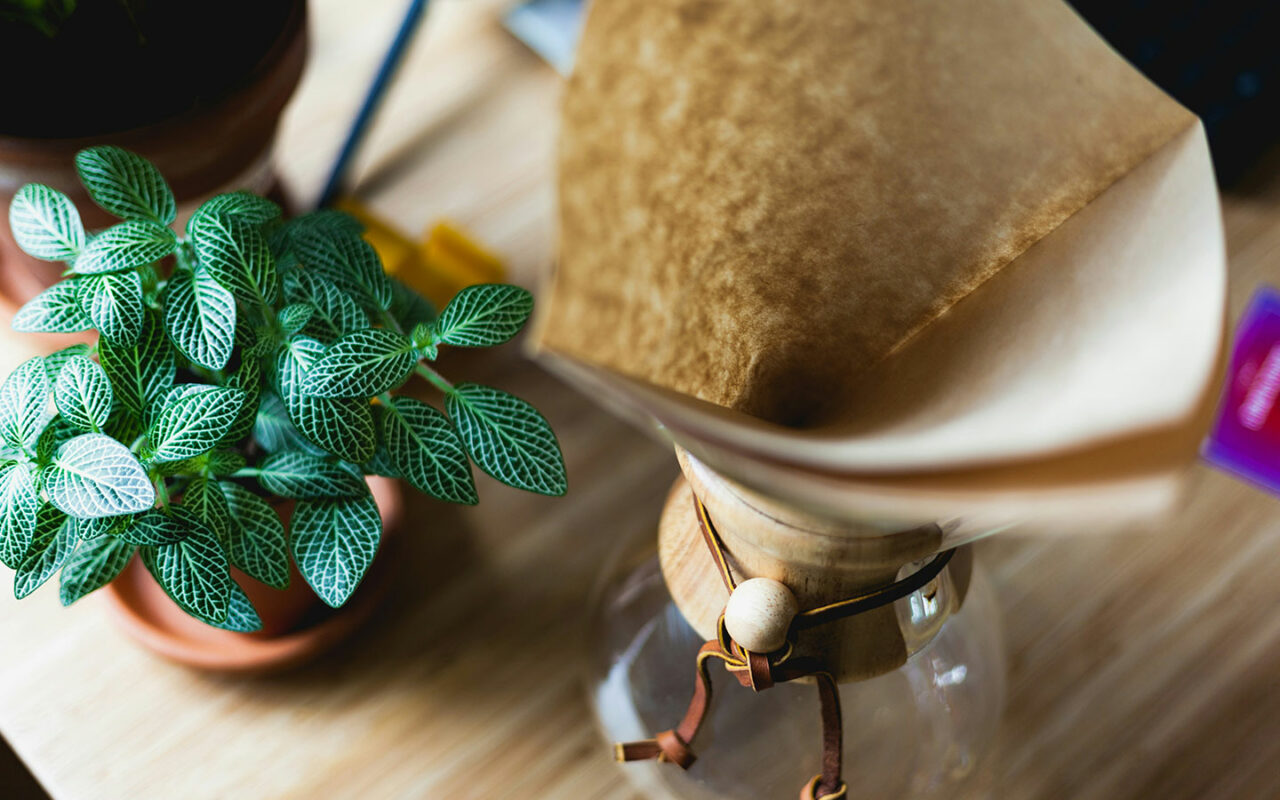 Gros plan d'une cafetière Chemex avec un filtre en papier non blanchi en place, posée sur une table en bois à côté d'une plante verte en pot. L'image capture une atmosphère naturelle et paisible.