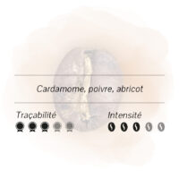 Illustration des notes de dégustation du café Maya avec les saveurs de cardamome, poivre et abricot, ainsi que les niveaux de traçabilité et d'intensité.