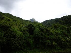 Paysage montagneux de la Sierra Maestra à Cuba, couvert de végétation tropicale dense.