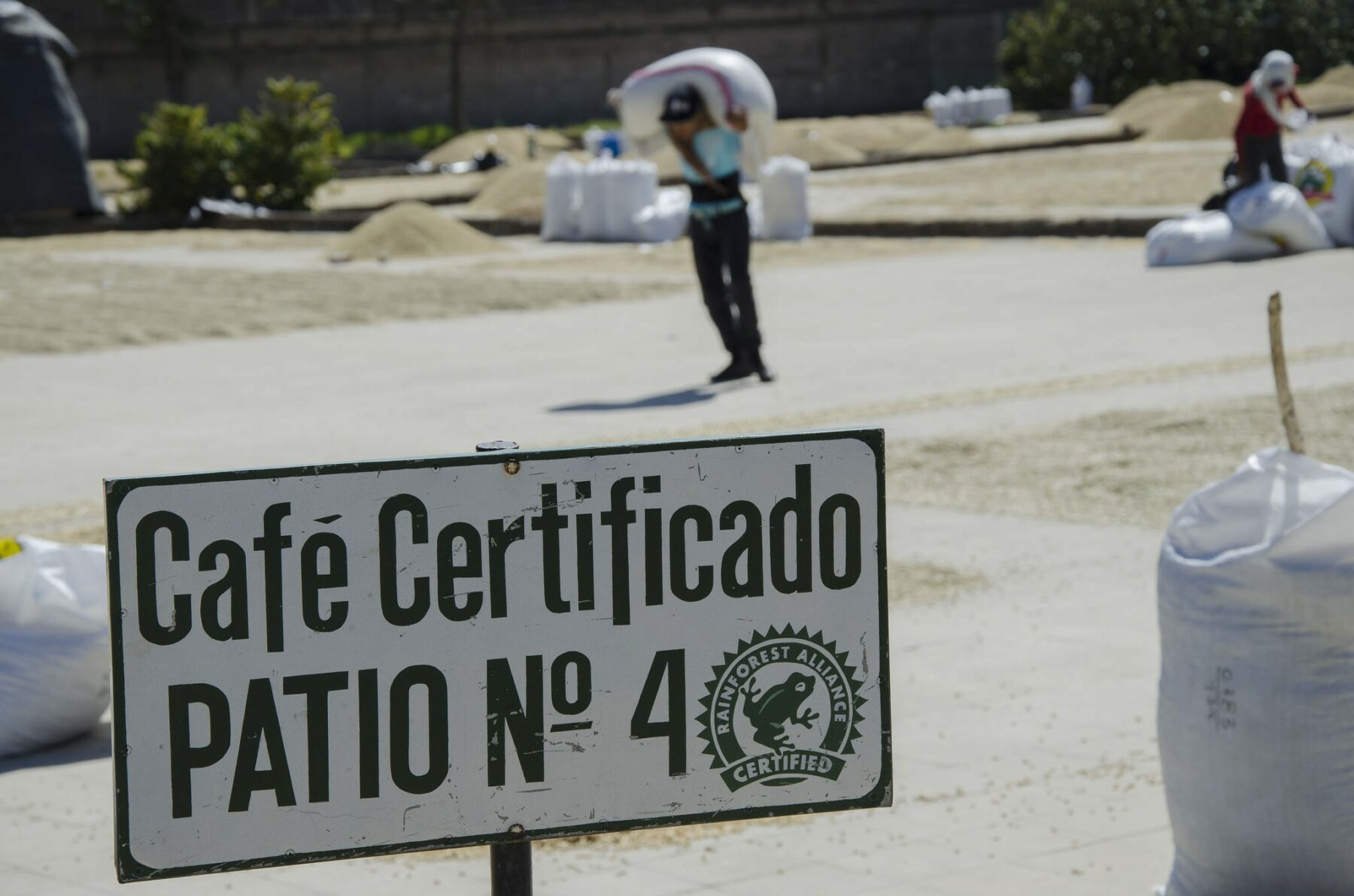 Nicaragua - Dipilto - El Suyatal – Image 4