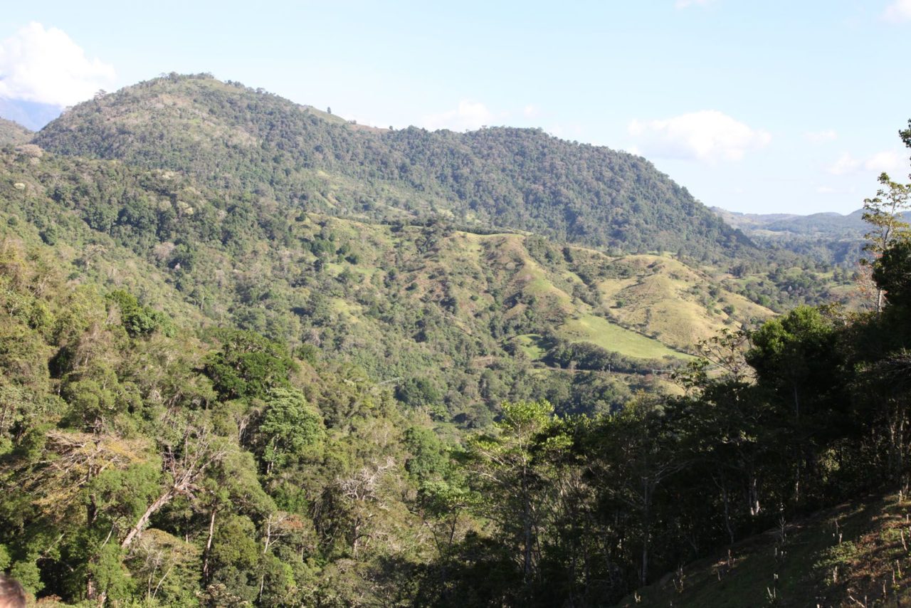 Vue panoramique sur les collines verdoyantes de la région de Chiriqui, au Panama, avec une végétation luxuriante et des montagnes à l’horizon.