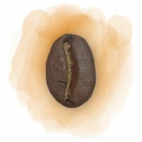 Illustration du café Colombie Cauca Choco