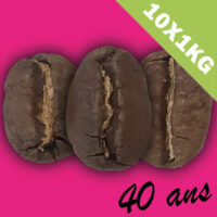 Illustration du café Authentique 1976 10kg