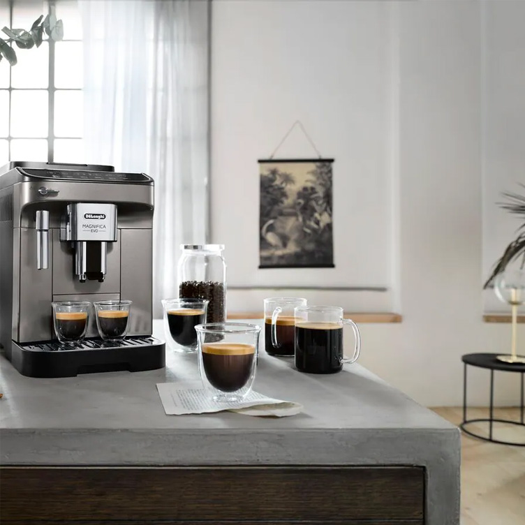 Machine à café grain Delonghi Magnifica EVO FEB2961-LsetCie