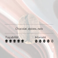 Illustration d'un grain de café avec des notes de dégustation : chocolat, épices, noix, ainsi que des indicateurs de traçabilité (5/5) et d'intensité (4/5).