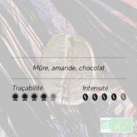 Image d’un grain de café en gros plan sur un fond texturé multicolore, accompagnée d’un texte indiquant les notes aromatiques principales : mûre, amande et chocolat. La fiche précise également la traçabilité élevée (5/5) et l’intensité du café (4/5), avec les logos de certification biologique "AB" et "EU Organic".